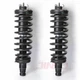 Isuzu Struts